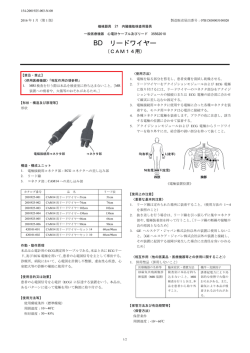 BD リードワイヤー