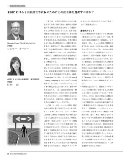 米国における子会社設立や買収のためにどの法主体を選択すべきか？