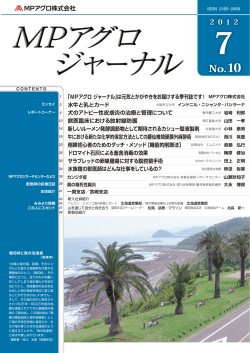 pdfファイル （9.8MB）