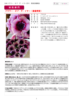 【フラワーオブザイヤー2】受賞品種解説