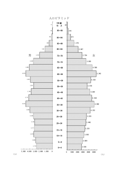 人口ピラミッド（PDF：62KB）