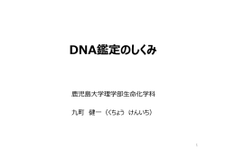 DNA鑑定のしくみ