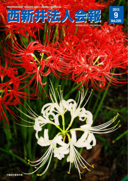 2013年9月号 - 一般社団法人 東京法人会連合会