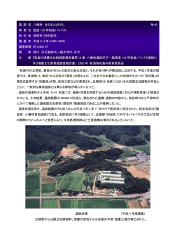 八幡林遺跡 - 新潟県埋蔵文化財調査事業団
