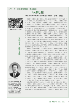 貴金属③ いぶし銀 中西載慶