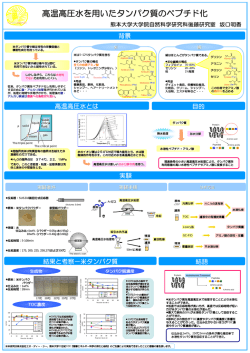 高温高圧水を用いたタンパク質のペプチド化