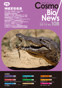 PDFダウンロード