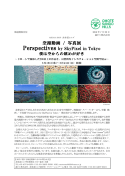 空撮動画 / 写真展 Perspectives by SkyPixel in Tokyo