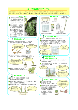 「自宅で出来るみどりのカーテン作り」（PDF：310KB）