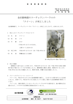 金沢動物園のスーチョワンバーラルの 「クイーン」が死亡しました