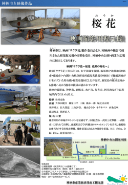 案内チラシ(PDF 787KB)