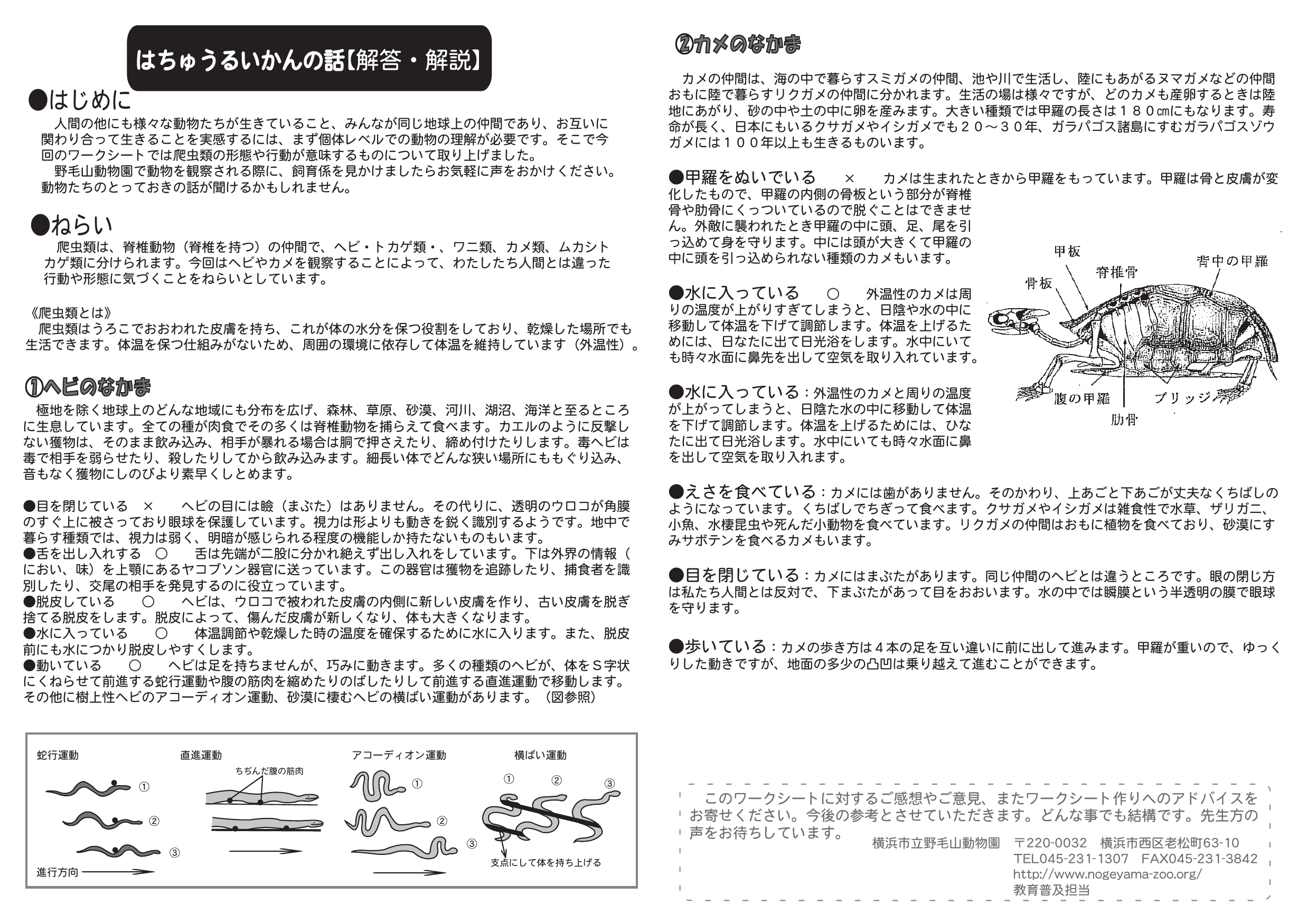 先生解説用