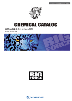 PDFをダウンロード