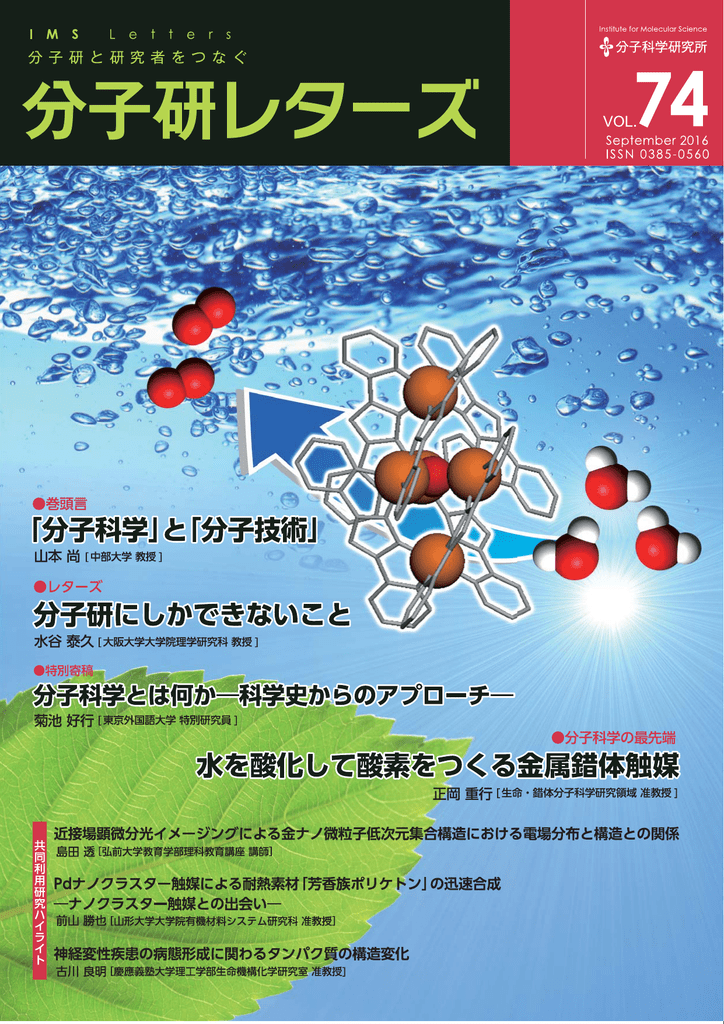 分子研レターズ74