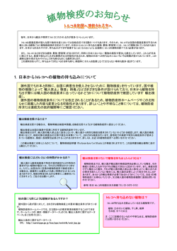1．日本からトルコへの植物の持ち込みについて