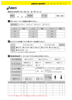 DECO SHIRT バレーボール オーダーシート