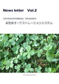 newsletter_v2 - 染色体オーケストレーションシステム