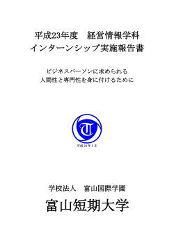 年度 インターンシップ実施報告書