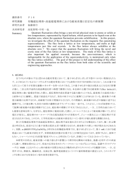 有機超伝導体・高温超電導体における磁束状態と安定化の新展開
