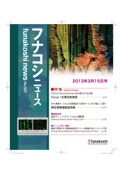 一括ダウンロード