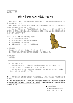 飼い主のいない猫について （PDF：101KB