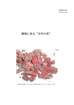 群馬に見る&ldquo;古代の朱&rdquo; - Bulk World
