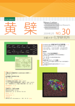 第30号 - 京都大学 化学研究所