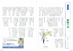林 いづみ