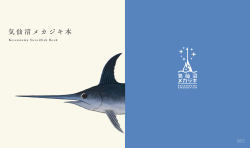気仙沼メカジキ本