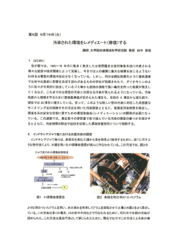 汚染された環境をレメディエート(修復)する