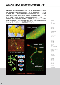 PDF形式 - 基礎生物学研究所