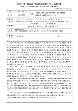 1 平成24年度 組織的な若手研究者等海外派遣プログラム 帰国報告書