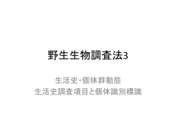野生生物調査法3