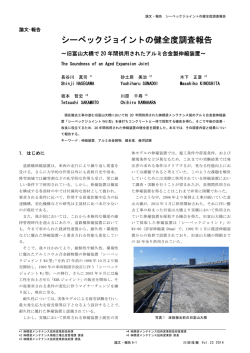 シーペックジョイントの健全度調査報告