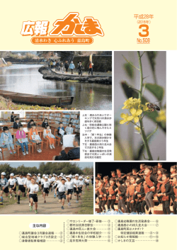 広報かしま平成28年3月号(PDF 約3MB)