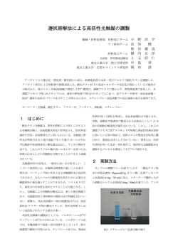 論文 : 選択溶解法による高活性光触媒の調製
