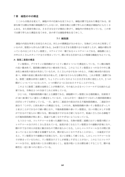 7 章 細胞の中の構造