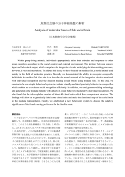 魚類社会脳の分子神経基盤の解析 Analysis of molecular bases of fish