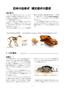 日本の在来犬 縄文柴犬の歴史 - NPO法人 縄文柴犬研究センター