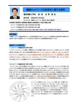 複雑ネットワークの安定性に関する研究