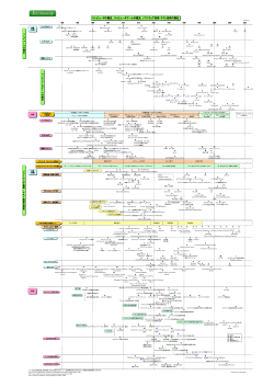 講演資料2 （PDF: 238KB） - JaSSTソフトウェアテストシンポジウム