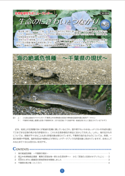 生命のにぎわいとつながり - 千葉県生物多様性センター/トップページ