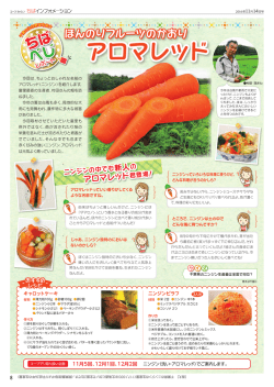 ほんのりフルーツのかおり アロマレッド