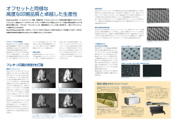 Flexcel NX - コダック