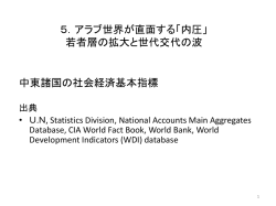 4．アラブ世界が直面する「内圧」 若者層の拡大と世代交代の波