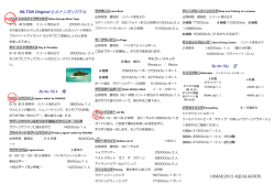 アクティビティ（PDF - アクアラグーンタヒチ