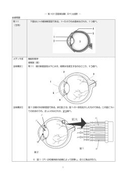 拡大 - 薬剤師国家試験予備校 Medisere メディセレ