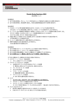 Porsche Racing Experience 2010