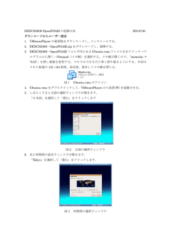 DEXCS2009-OpenFOAM の起動方法 H210730 ダウンロードから