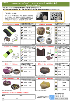 Cubeads（キュービーズ） ステッラ シリーズ 専用発注書①